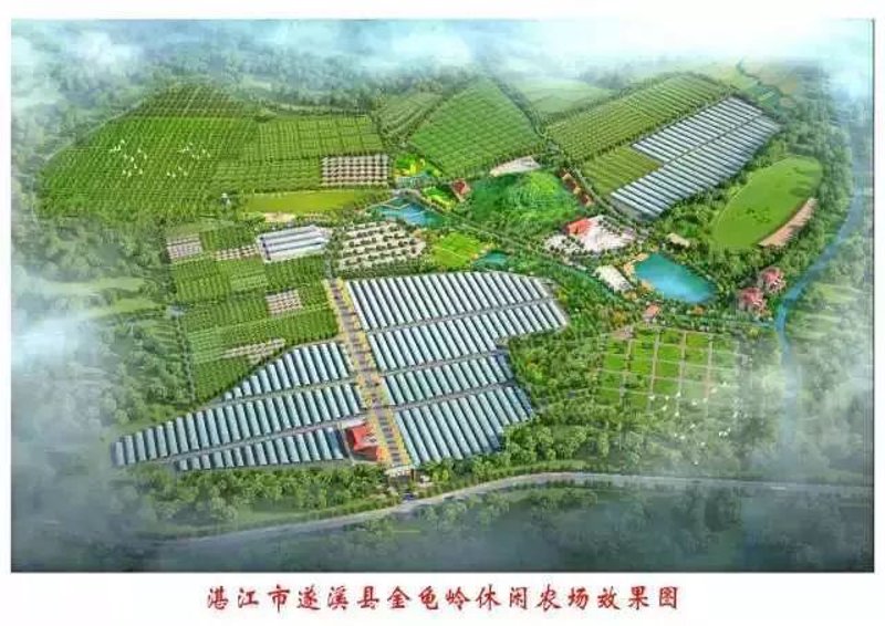 天津农场探秘：享受自然的乐趣