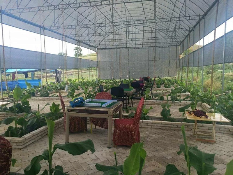 天津农场选购指南：如何挑选优质体验地
